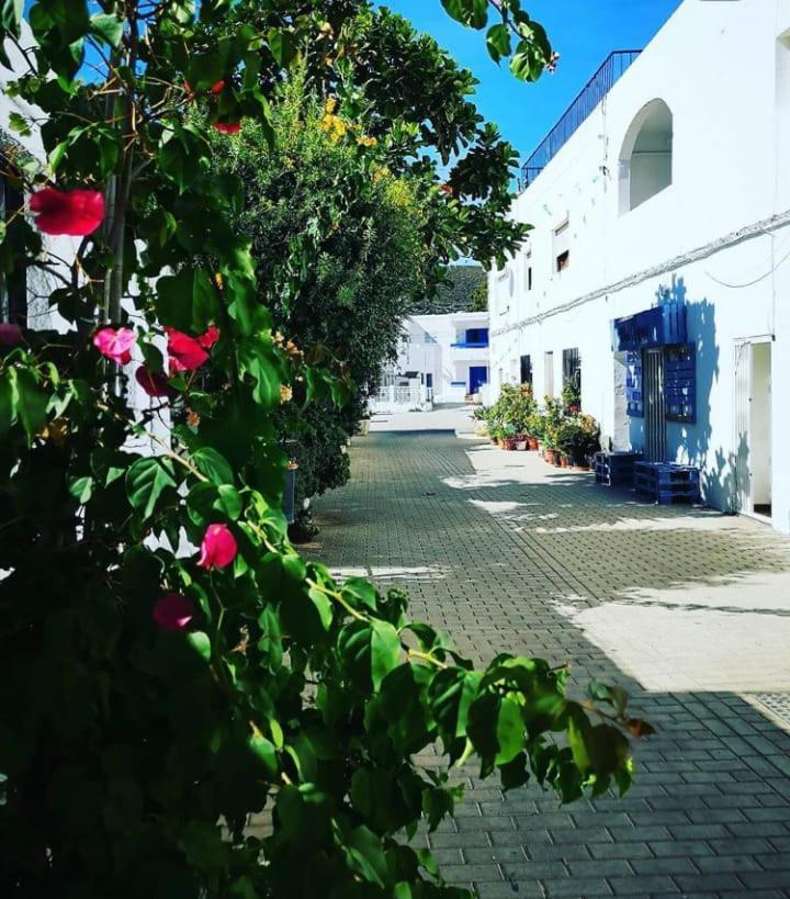 Casa Del Pez Vivienda A Pie De Calle En Agua Amarga A 250 Metros De La Playa Екстериор снимка